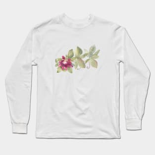 Passiflora watercolor illustration Long Sleeve T-Shirt